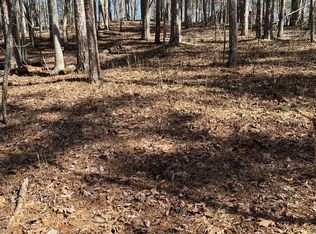 Armor Way, Ellijay, GA 30540