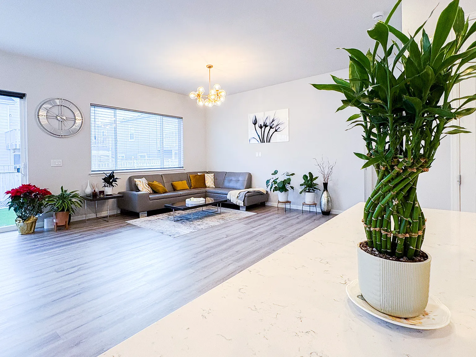 3 bed, 1806 sqft, $3,500 — Photo 3