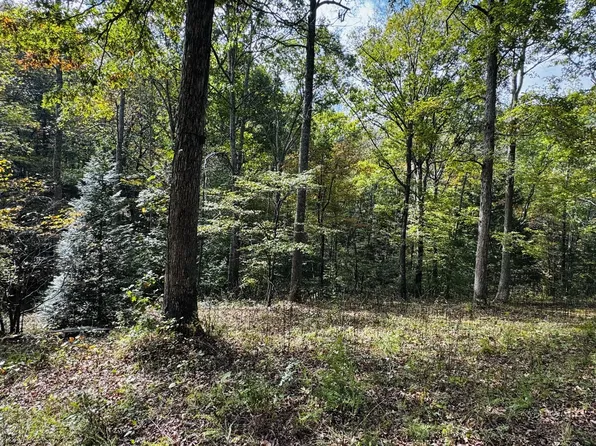 0 Brown Ln, White Bluff, TN 37187
