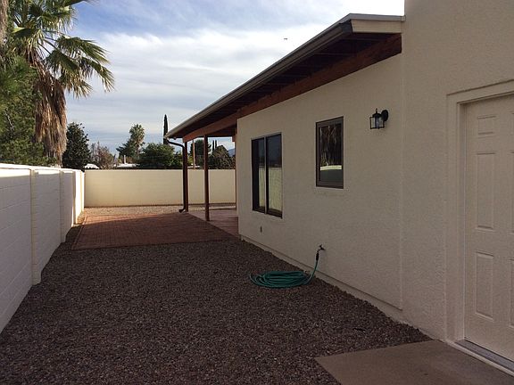 Side Yard & Kitchen Windows