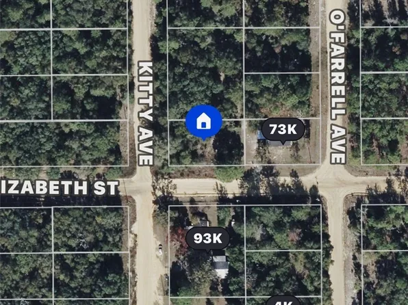 180 Elizabeth St, Interlachen, FL 32148