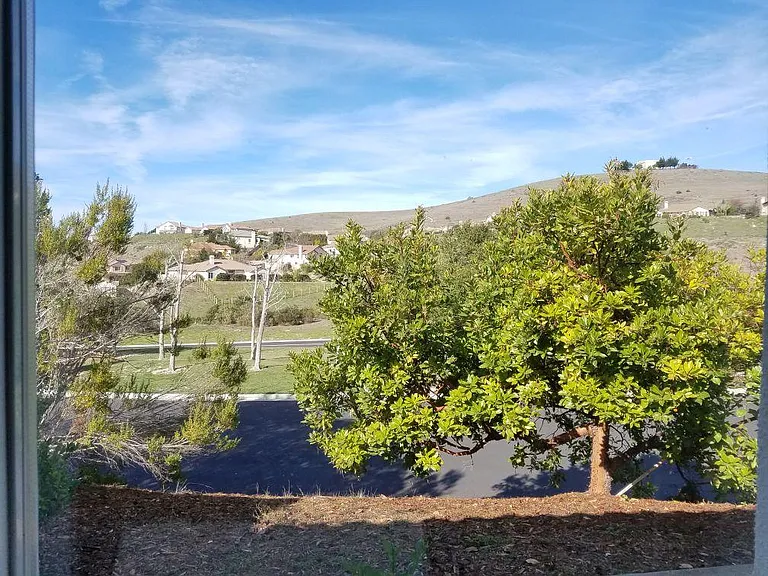 View from the living room