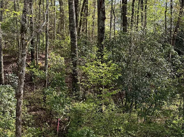 Tbd Blue Ridge Rd, Lake Toxaway, NC 28747