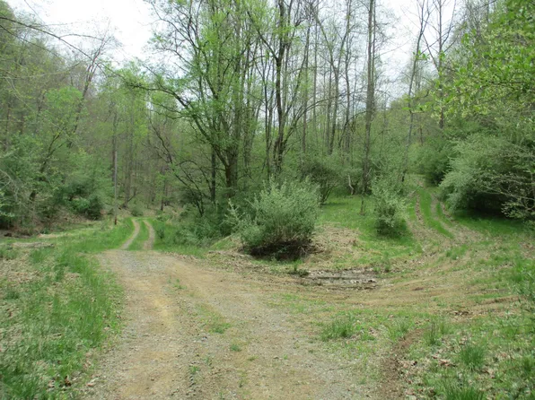 0 Gluck Run Rd, Glenville, WV 26351