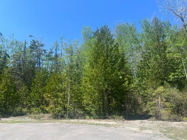 LOT 138 Tiptop Ct W, Presque Isle, MI 49777
