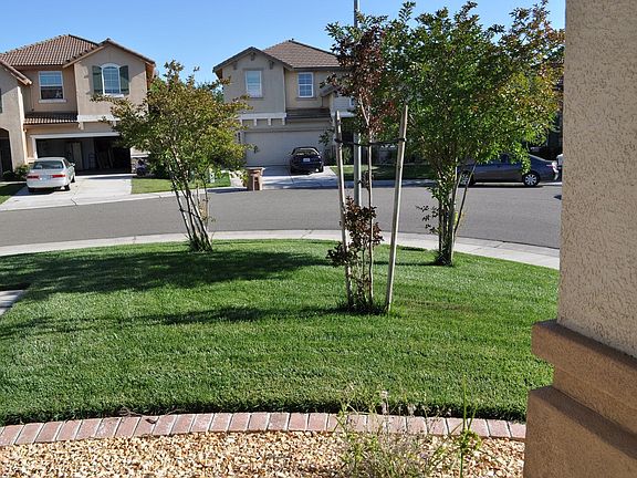 facing neighbor's house