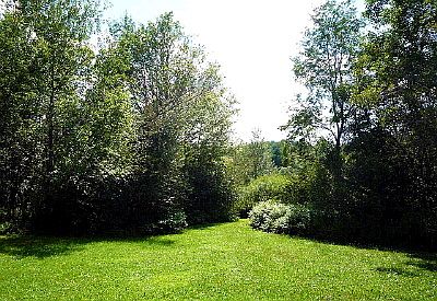 3rd image of 178 Coulter Ln