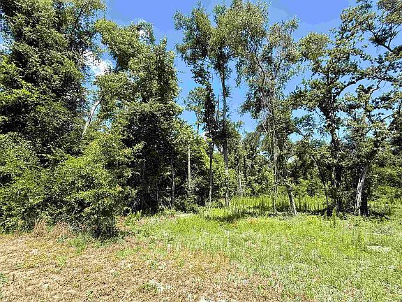 4th image of Vacant Wildwood Cir