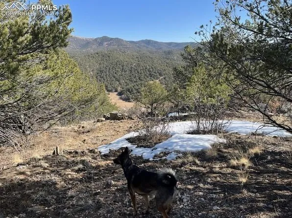 LOT 17 Dunn Dr S, Canon City, CO 81212