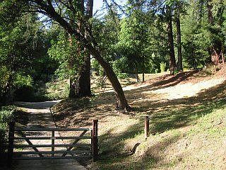 Electric Gated Entry