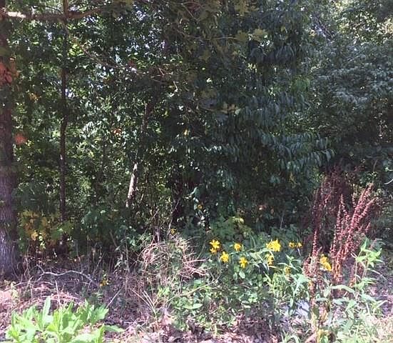 2nd image of Monmouth Dr