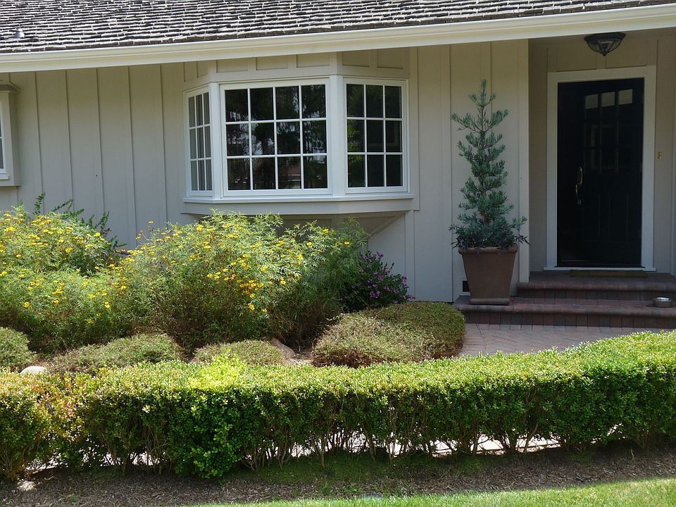 Front yard