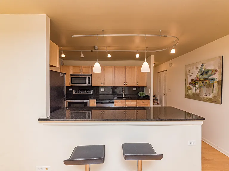 222 E Pearson St #706 — Photo 10