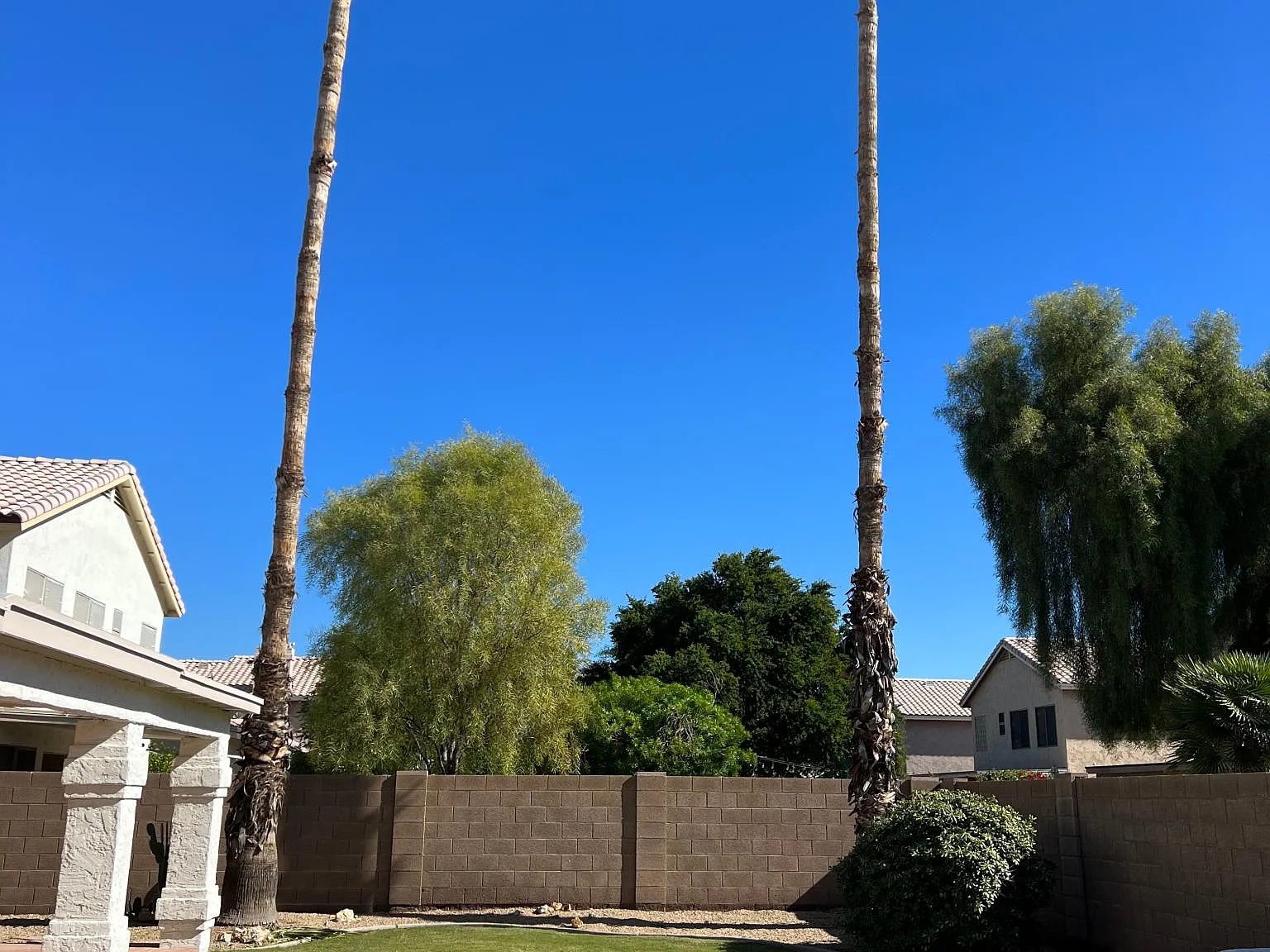 1149 W Raven Dr — Photo 2