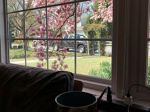 4th image of 377 Pointfield Dr