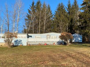 390 Tyler Hollow Rd, Spencer, NY 14883