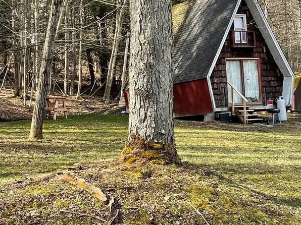 143 Leadville Hollow Ln, Genesee, PA 16923