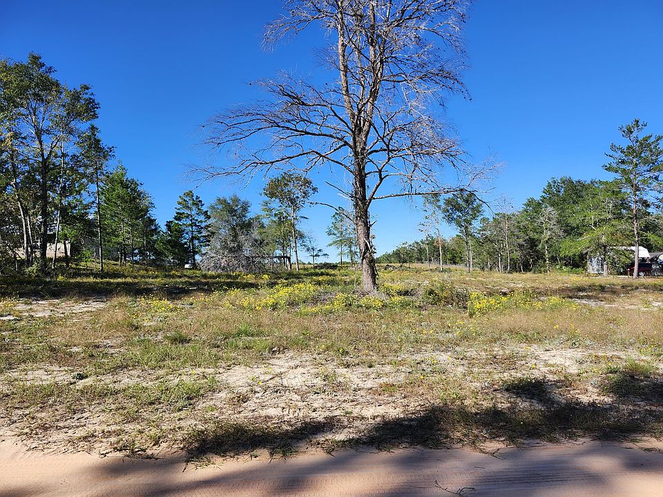 1st image of 23 W Bach Dr