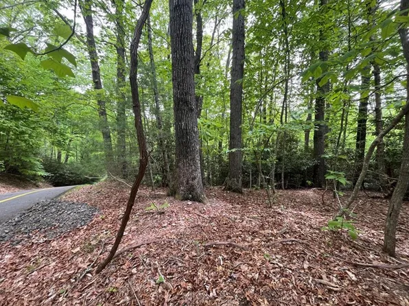 0 Old Hollow Trl, Fancy Gap, VA 24328