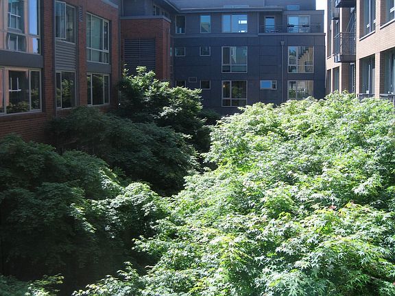 Great overlook of courtyard