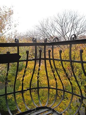 Rented by Tower Brokerage | media 49