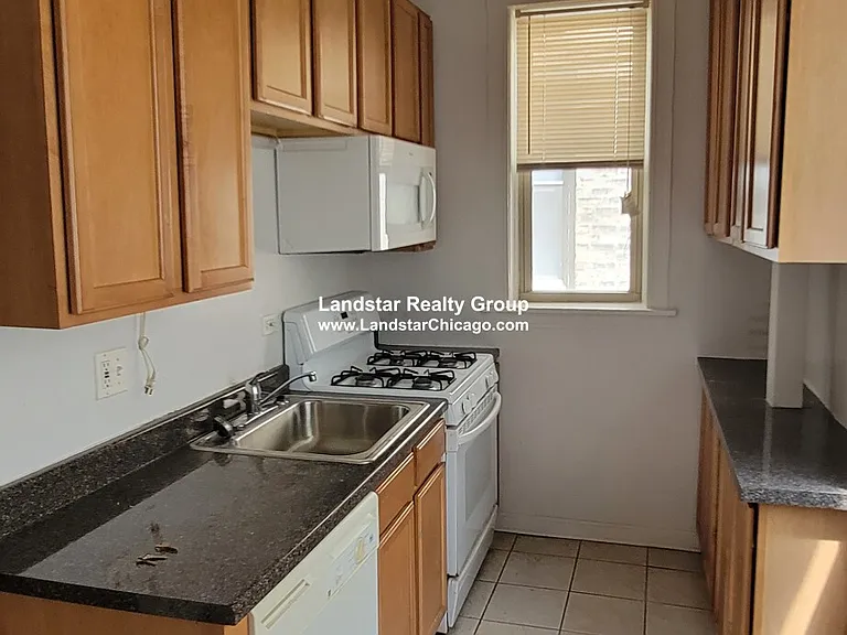 7513 N Greenview Ave #1 — Photo 9