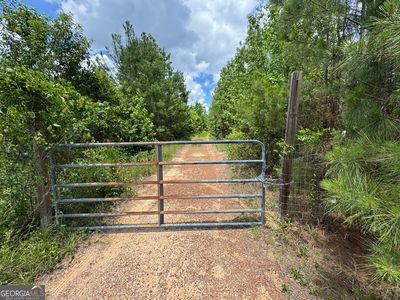 6295 Findley Pl, Cobbtown, GA, 30420