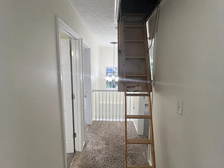 5359 Palmer Ln — Photo 15