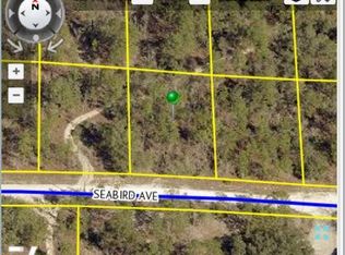 12089 Seabird Ave, Brooksville, FL 34614