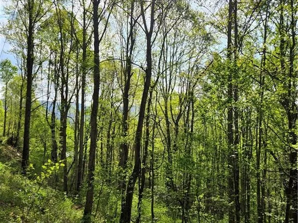 173-175 Wills Way, Canton, NC 28716