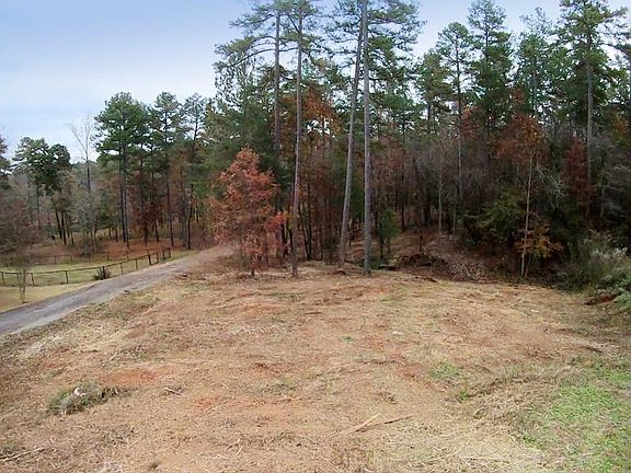 3rd image of 198 Bear Cub Way