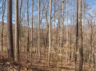 112 S Lindon Cove Rd #34, Candler, NC 28715