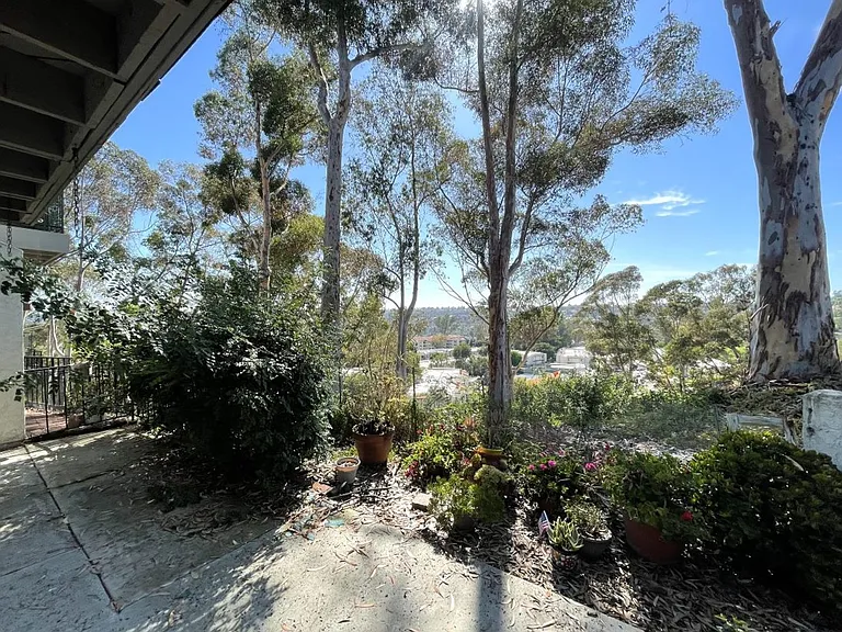 11213 Cascada Way — Photo 9