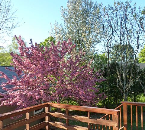 View southeast from deck