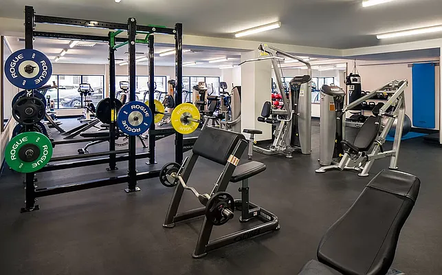 Rented by Domain Companies | media 12