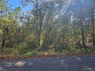 296 E Foster Ct, Lecanto, FL 34461