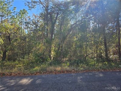 296 E Foster Ct, Lecanto, FL, 34461
