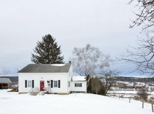 454 Sabin Rd, Spencer, NY 14883