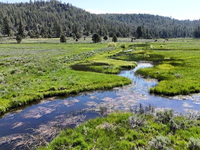 Mile Post 12 Fish Hole Crk, Bly, OR, 97622