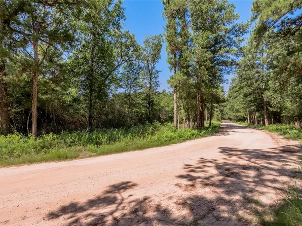 9238 Rocky Ridge Ln, Madisonville, TX 77864