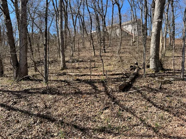 64 Thunderbird Dr #7, Eureka Springs, AR 72631