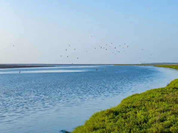 1118 County Road 2220E, Kingsville, TX 78363