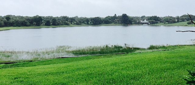 Back Yard View 
