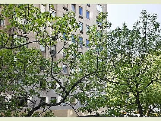 Sold by Stribling | media 19
