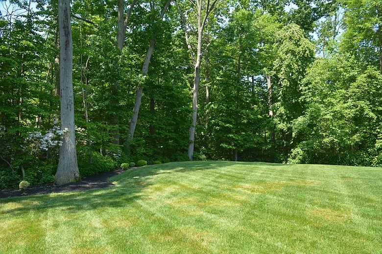 2nd image of 113 Hilltop Ct