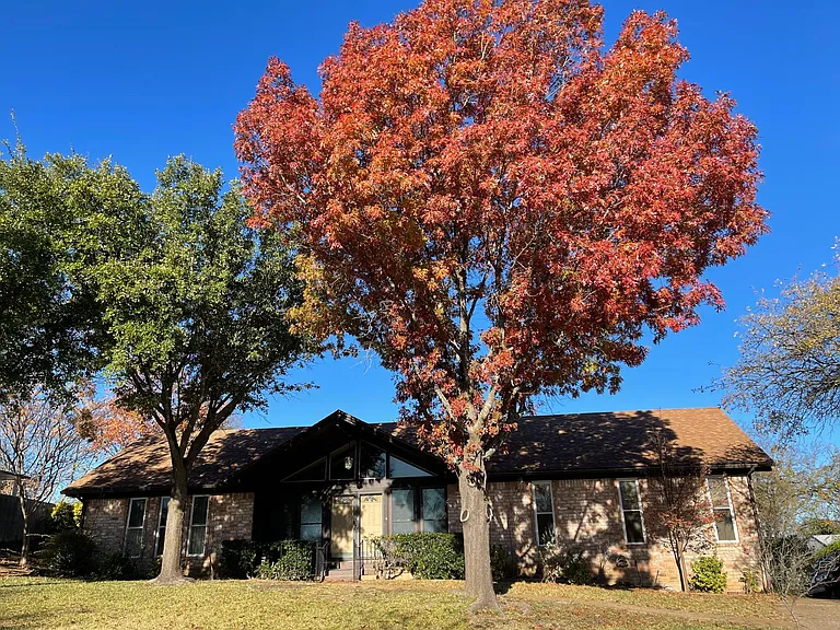 8201 Forest Ridge Dr — Photo 6