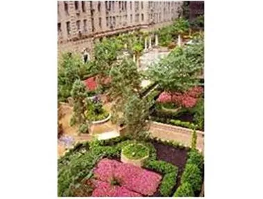 Rented by Douglas Elliman | media 10