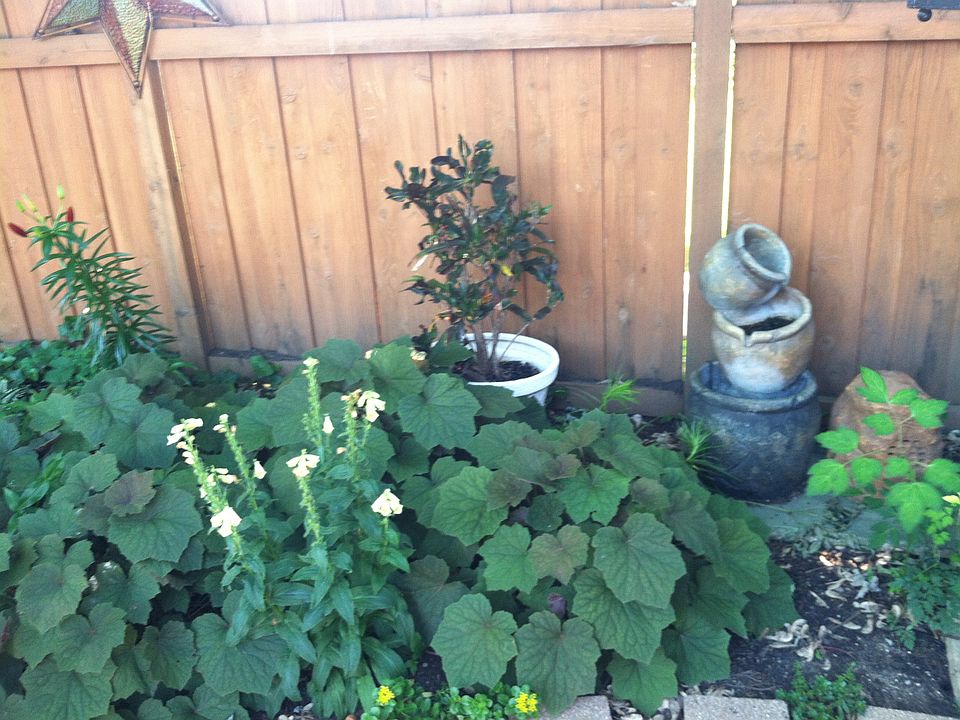 2nd image of 1019 S Highland Ave