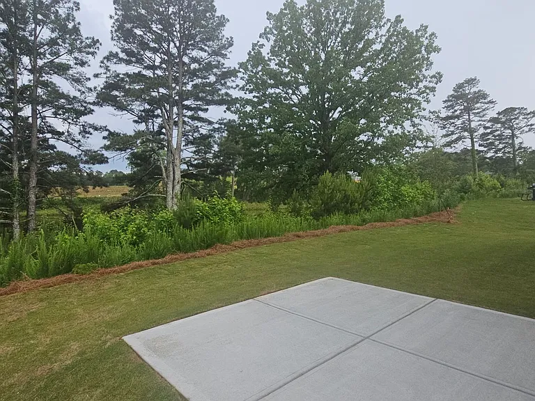 306 Thompson Ridge Ln — Photo 6