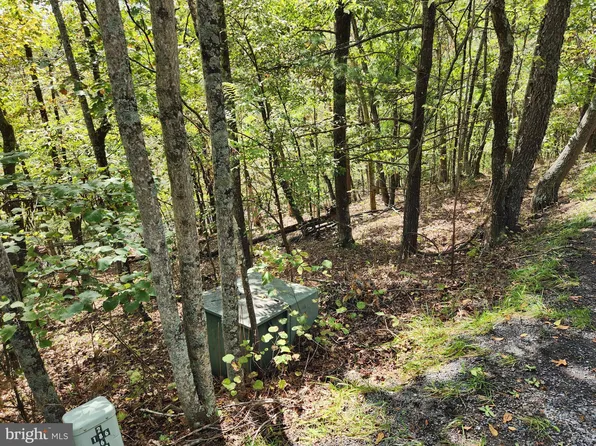 Johnston St, Basye, VA 22810